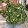 Colorful Farmyard Hens And Chicks For Cozy Autumn Country Living All-over Print Knitted Sweater - 5