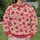 Blush Pink Roses And Red Bows For Cozy Autumn Days And Romantic Everyday Style All-over Print Knitted Sweater - 6
