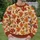 Autumn Maple Leaves and Warm Plaid for Cozy Fall Outings and Seasonal Style All-over Print Knitted Sweater - 6
