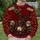 Santa Mail Carrier Outfit for Christmas Parties and Festive Holiday Gift Giving All-over Print Knitted Sweater - 6