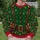 Elf Toymaker Belt and Teddy Bear Gifts for Christmas Parties and Festive Holiday Gatherings All-over Print Knitted Sweater - 6
