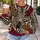 Zebra And Leopard Patchwork Animal Motif For Everyday Casual Style All-over Print Knitted Sweater - 5