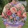 Pink and Blue Rose Garden for Romantic Spring Style and Everyday Floral Lovers All-over Print Knitted Sweater - 6
