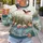 Coral Flamingos Wading in Blue Wetlands for Spring Outings and Nature-Loving Women All-over Print Knitted Sweater - 5