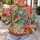 Colorful Folk Floral Patchwork for Spring Outings and Everyday Layering All-over Print Knitted Sweater - 5