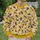Honeycomb Bees And Orange Blossoms For Artful Everyday Style And Nature Loving Women All-over Print Knitted Sweater - 6