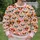 Whimsical Sunglass-Wearing Ox Heads for Playful Everyday Country Style All-over Print Knitted Sweater - 6