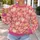 Pink Pumpkin And Daisy Motifs For Cozy Autumn Outings And Relaxed Women's Fall Style All-over Print Knitted Sweater - 5
