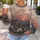 Sheep at a Spooky Farm Halloween Scene for Cozy Autumn Nights All-over Print Knitted Sweater - 5