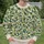 Ivory Botanical Blossoms and Citrus Leaves for Fresh Spring Garden Style Wear All-over Print Knitted Sweater - 6