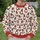 Bearded Holiday Gnomes and Red Hats for Cozy Festive Gatherings All-over Print Knitted Sweater - 6