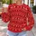 Red Reindeer and Snowflake Holiday Motifs for Festive Winter Celebrations All-over Print Knitted Sweater - 5
