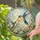 Two Hummingbirds With Wildflowers for Birdwatcher Gifts and Sunny Garden Decor Ideas Stained Glass Suncatcher - 2