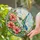 Vibrant Hummingbird and Hibiscus Gift for Garden Lovers and Nature-Inspired Homes Stained Glass Suncatcher - 2