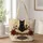 Black Cat on Antique Book with Red Roses for Gothic Literature Lovers and Cozy Readers Quilted Tote Bag - 1