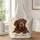 Chocolate Labrador and Snowflakes for Cozy Winter Holiday Gifts for Dog Lovers Quilted Tote Bag - 1