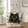 Black Cat Portrait With Amber And Blue Eyes For Cat Lover Gifts And Everyday Style Quilted Tote Bag - 1