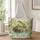 Green Tree Frog by a Lily Pond for Garden Days and Nature-Loving Frog Lover Gifts Quilted Tote Bag - 1