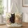 Black Cat And Ginger Tabby With Wildflowers For Cat Lovers And Spring Garden Days Quilted Tote Bag - 1