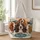 Basset Hound Friends for Cozy Cottage Errands and Everyday Gifts for Dog Lovers Quilted Tote Bag - 1