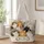 Colorful Floral Cat Family with Ten Kittens for Cozy Everyday Style and Cat Lover Gifts Quilted Tote Bag - 1