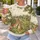 Woodland Rabbit Meadow for Cozy Autumn Outings and Nature-Loving Everyday Wear All-over Print Knitted Sweater - 5