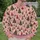 Whimsical Evergreen Trees for Cozy Holiday Gatherings and Festive Winter Celebrations All-over Print Knitted Sweater - 6