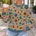 Colorful Wildflower Blooms for Casual Everyday Style and Creative Nature Lovers All-over Print Knitted Sweater - 5