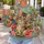 Painterly Kitten Among Wildflowers for Whimsical Everyday Style and Cat Lovers Women All-over Print Knitted Sweater - 5