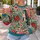 Folk Floral Hearts and Roses for Whimsical Valentine's Day Celebrations for Women All-over Print Knitted Sweater - 5