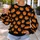 Orange Pumpkin Motifs for Cozy Autumn Celebrations and Halloween Gatherings for Women All-over Print Knitted Sweater - 5