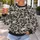 Skull and Rose Motifs for Halloween, Gothic Style for Everyday Wear All-over Print Knitted Sweater - 5