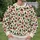 Cheerful Santa And Holiday Icons For Christmas Gatherings And Festive Winter Days All-over Print Knitted Sweater - 6