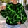 Neon Green Lightning Bolts for Gym Training, Hiking and Everyday Outdoor Wear All-over Print Knitted Sweater - 5