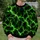 Neon Green Lightning Bolts for Gym Training, Hiking and Everyday Outdoor Wear All-over Print Knitted Sweater - 6