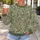 Sage Green Wildflower Garden for Relaxed Coastal Days and Nature Lovers All-over Print Knitted Sweater - 5