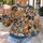 Colorful Cartoon Dog Faces for Playful Everyday Pet Lover Style All-over Print Knitted Sweater - 5