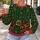 Green Elf Toymaker Costume Details for Christmas Parties and Holiday Celebrations All-over Print Knitted Sweater - 5