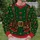 Green Elf Toymaker Costume Details for Christmas Parties and Holiday Celebrations All-over Print Knitted Sweater - 6