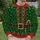 Green Elf Belt and Candy Cane Holiday Party Look for Festive Christmas Celebrations All-over Print Knitted Sweater - 6