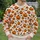 Jack-O’-Lanterns And Bats For Halloween Gatherings And Cozy Autumn Evenings All-over Print Knitted Sweater - 6