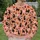 Black Cats, Ghosts & Pumpkins for Spooky Autumn Halloween Party Celebrations All-over Print Knitted Sweater - 6