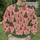 Pink Christmas Trees and Folk Ornaments for Cozy Holiday Celebrations for Women All-over Print Knitted Sweater - 6