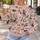 Playful Dog Family and Bow Tie Motifs for Cozy Weekend Pet Lover Outings and Lounging All-over Print Knitted Sweater - 5