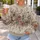 Vintage Wildflower Meadow for Everyday Cottagecore Style and Spring Garden Outings All-over Print Knitted Sweater - 5