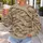 Distressed Mummy Bandage Wrap for Halloween Parties and Spooky Costume Celebrations All-over Print Knitted Sweater - 5