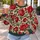Crimson Rose And Olive Leaf Blooms For Romantic Countryside Everyday Wear All-over Print Knitted Sweater - 5