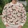 Dachshund Hearts And Flowers For Playful Everyday Style And Dog Lover Gifts All-over Print Knitted Sweater - 6