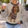 Sweet Dachshund in Striped Pullover for Cozy Everyday Dog Lover Style All-over Print Knitted Sweater - 5