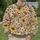 Vintage Wildflower Blooms for Spring Garden Strolls and Everyday Wear All-over Print Knitted Sweater - 6